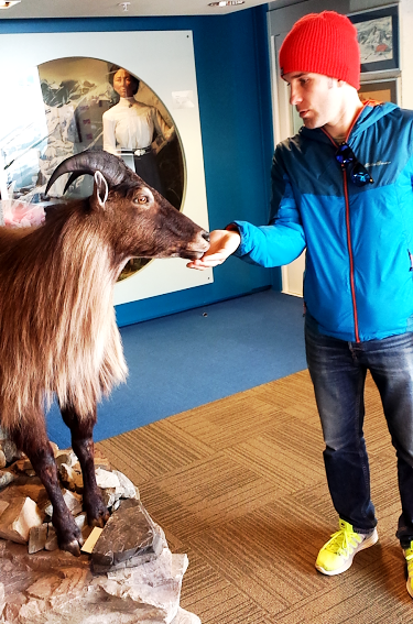 mount-cook-visitor-centre-j-and-goat