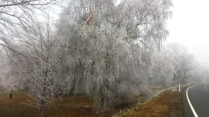 twizel-frozen-trees
