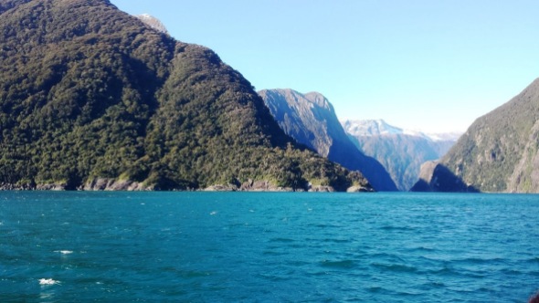 milford-sound-the-color-of-the-water