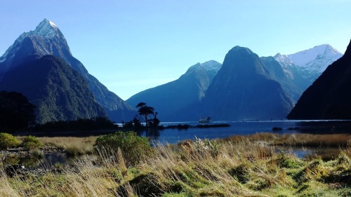 milford-sound-view-from-foreshore-walk-2