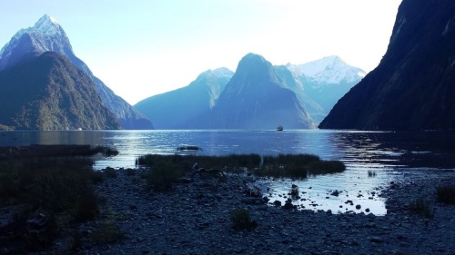 milford-sound-view-from-foreshore-walk-3