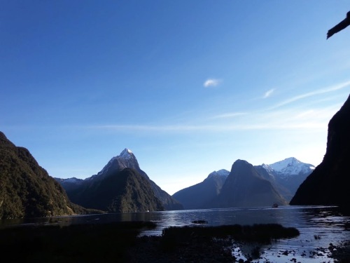 milford-sound-view-from-foreshore-walk